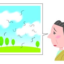 飛蚊症