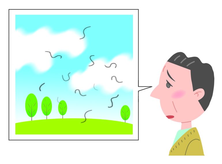 飛蚊症